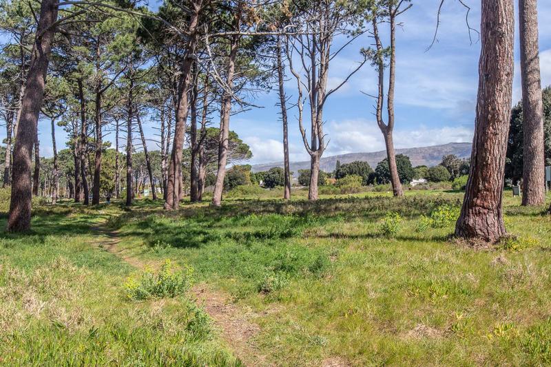 5 Bedroom Property for Sale in Meadowridge Western Cape